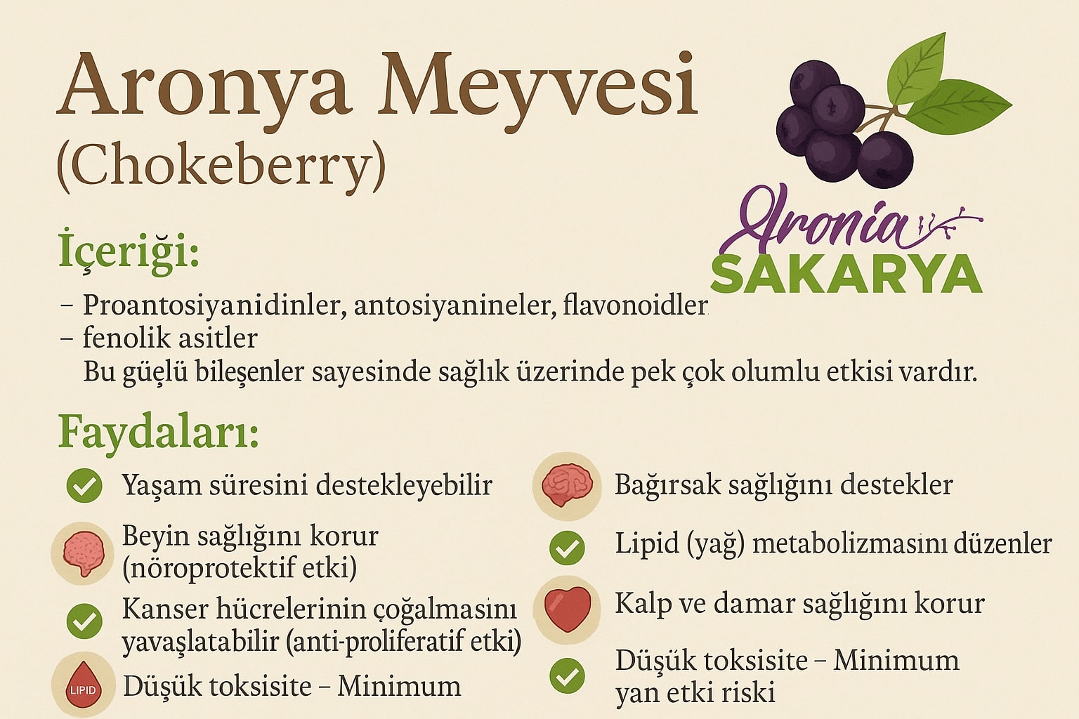 aronya,aronya nedir? , mor güc ?, aroniasakarya